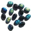 Scarab Beetle